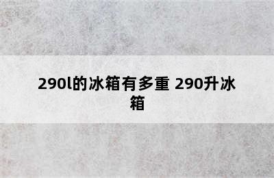 290l的冰箱有多重 290升冰箱